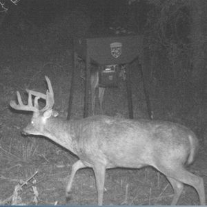 Meet your Posher, Jesse